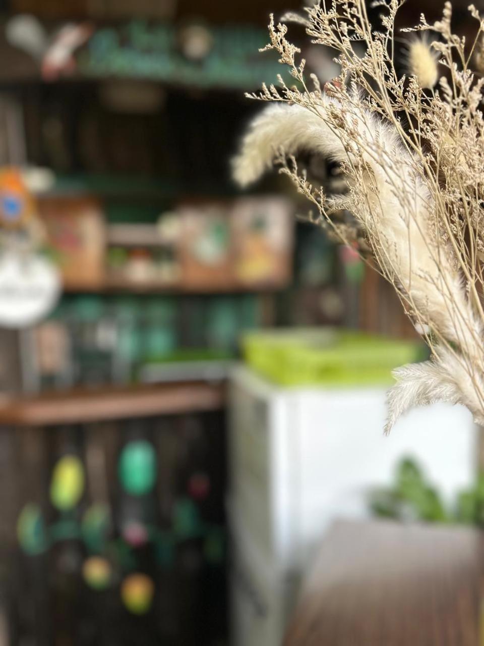 Hostel Rustico Marabi Tárcoles エクステリア 写真