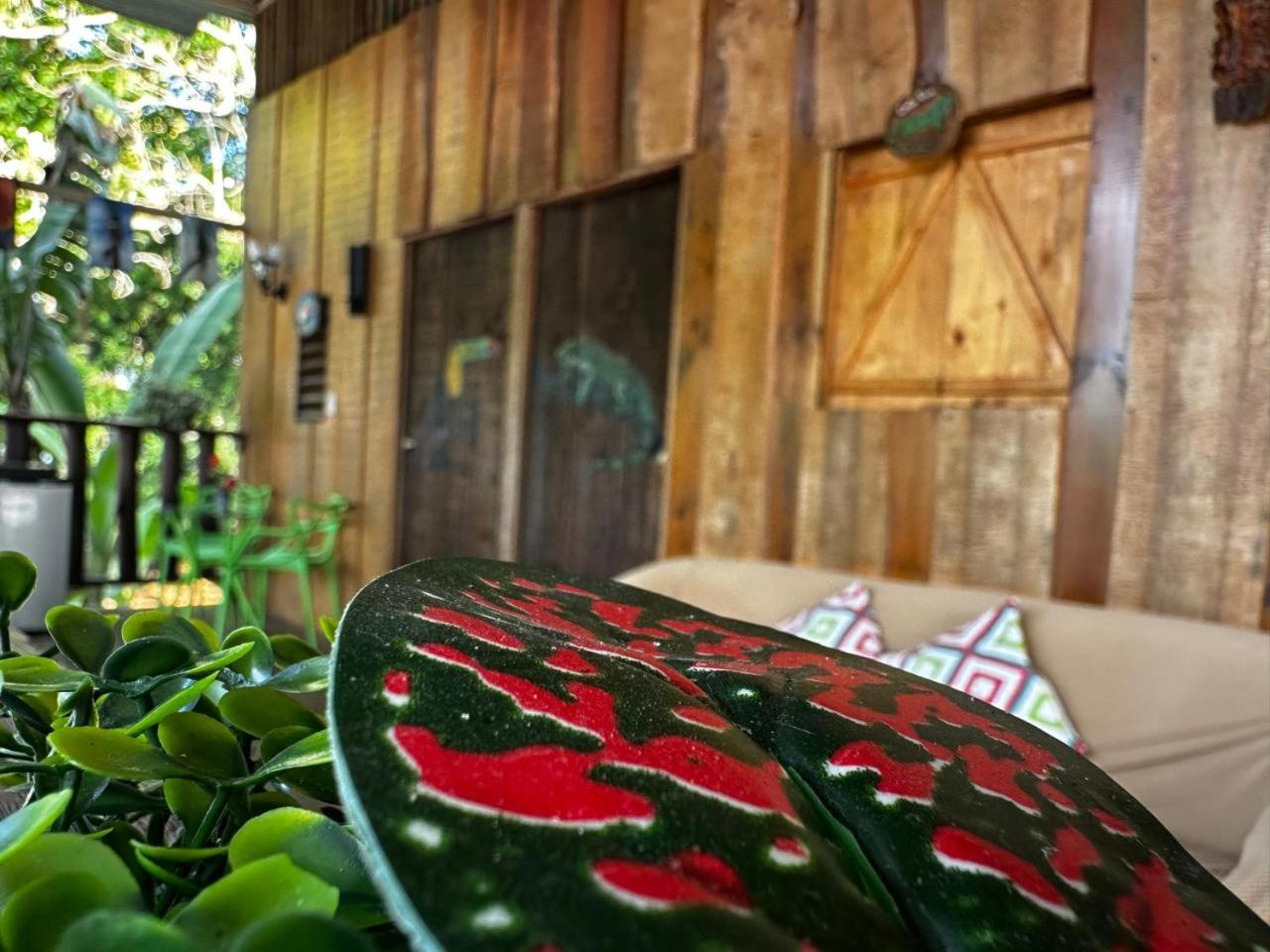 Hostel Rustico Marabi Tárcoles エクステリア 写真